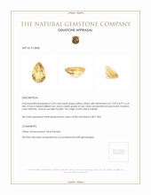 3.49 Ct. Citrine from Brazil Appraisal
