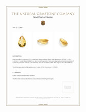3.19 Ct. Citrine from Brazil Appraisal