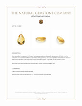 3.19 Ct. Citrine from Brazil Appraisal