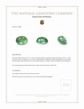 1.94 Ct. Cabochon Tourmaline from Mozambique Appraisal