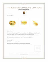 5.70 Ct. Citrine from Brazil Appraisal