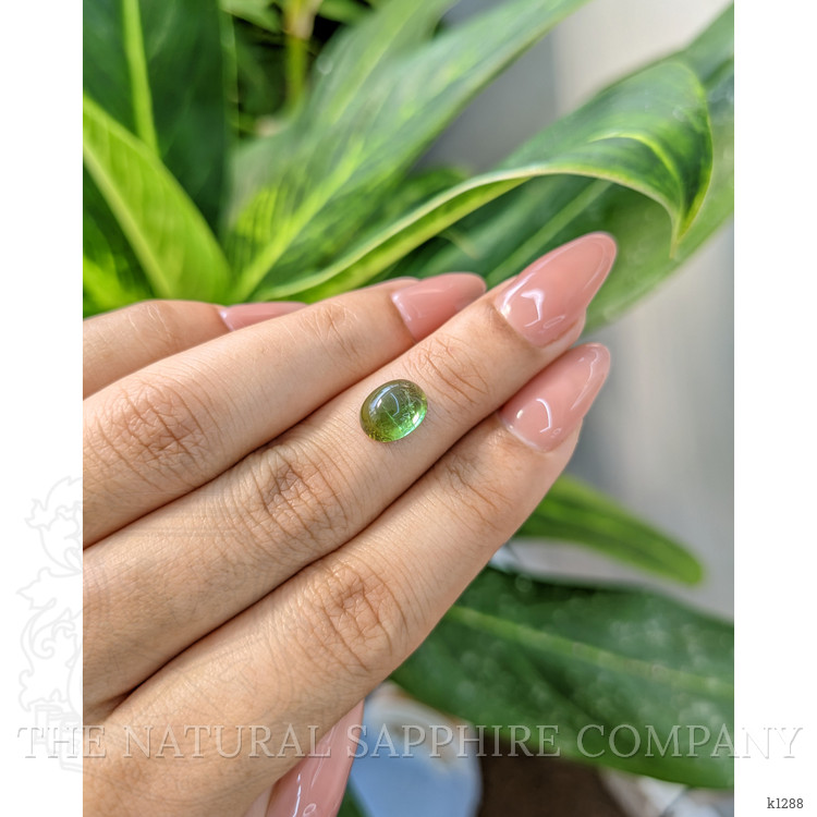 2.22 Ct. Cabochon Tourmaline from Mozambique