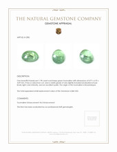 1.98 Ct. Cabochon Tourmaline from Mozambique Appraisal