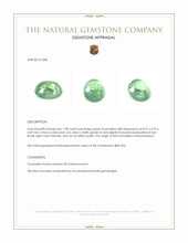 1.98 Ct. Cabochon Tourmaline from Mozambique Appraisal