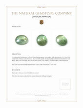 6.03 Ct. Cabochon Tourmaline from Mozambique Appraisal