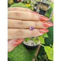 1.09 Ct. Spinel from Ceylon (Sri Lanka) Life Style