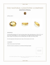 4.37 Ct. Citrine from Brazil Appraisal