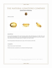 5.00 Ct. Citrine from Brazil Appraisal