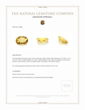 5.03 Ct. Citrine from Brazil Appraisal