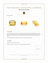 3.22 Ct. Citrine from Brazil Appraisal