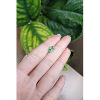 1.71 Ct. Beryl from Russia Life Style