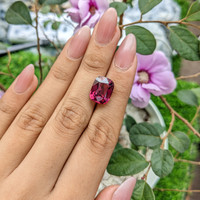 10.00 Ct. Garnet from Tanzania Life Style