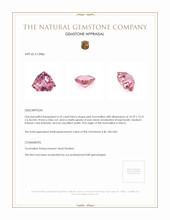 4.10 Ct. Tourmaline from Africa Appraisal