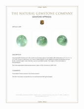 4.50 Ct. Cabochon Tourmaline from Mozambique Appraisal