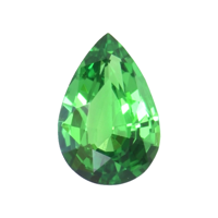 0.44 Ct. Tsavorite Garnet Video
