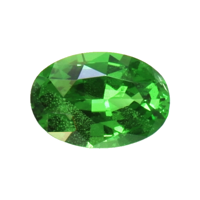 0.55 Ct. Tsavorite Garnet Video