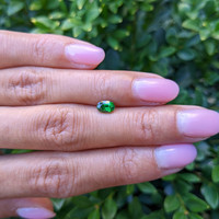 0.55 Ct. Tsavorite Garnet Life Style