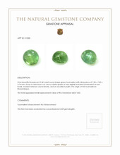 2.48 Ct. Cabochon Tourmaline from Mozambique Appraisal