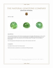 2.48 Ct. Cabochon Tourmaline from Mozambique Appraisal