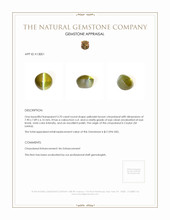 3.70 Ct. Chrysoberyl from Ceylon (Sri Lanka) Appraisal