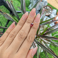 1.34 Ct. Garnet from Ceylon (Sri Lanka) Life Style