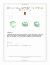 1.50 Ct. Cabochon Tourmaline from Mozambique Appraisal