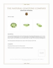 0.94 Ct. Chrysoberyl from Madagascar Appraisal