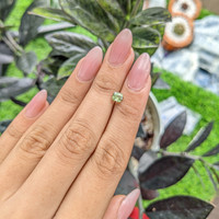 0.68 Ct. Chrysoberyl from Madagascar Life Style