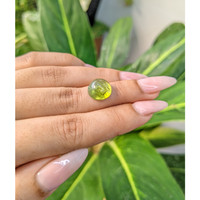 6.82 Ct. Cabochon Tourmaline from Mozambique Life Style