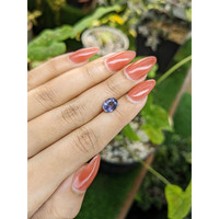 1.75 Ct. Spinel from Ceylon (Sri Lanka) Life Style