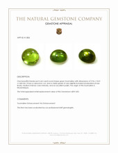 4.64 Ct. Cabochon Tourmaline from Mozambique Appraisal