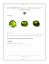 4.64 Ct. Cabochon Tourmaline from Mozambique Appraisal