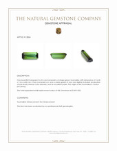 6.35 Ct. Green Tourmaline from Ceylon (Sri Lanka) Appraisal
