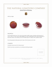 12.45 Ct. Carnelian from Brazil Appraisal
