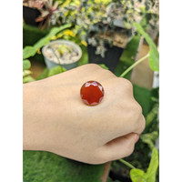12.45 Ct. Carnelian from Brazil Life Style