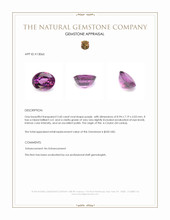 2.60 Ct. Purple Garnet from Ceylon (Sri Lanka) Appraisal