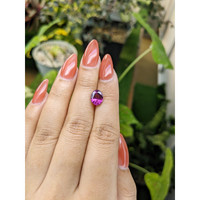 2.60 Ct. Garnet from Ceylon (Sri Lanka) Life Style