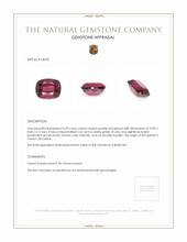 3.99 Ct. Garnet from Ceylon (Sri Lanka) Appraisal