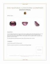 7.27 Ct. Garnet from Ceylon (Sri Lanka) Appraisal