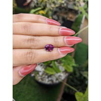 3.45 Ct. Garnet from Ceylon (Sri Lanka) Life Style