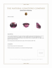 3.73 Ct. Garnet from Ceylon (Sri Lanka) Appraisal