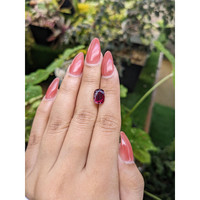 3.76 Ct. Garnet from Ceylon (Sri Lanka) Life Style