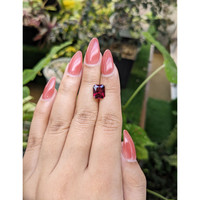 3.29 Ct. Garnet from Ceylon (Sri Lanka) Life Style