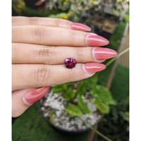 2.89 Ct. Garnet from Ceylon (Sri Lanka) Life Style