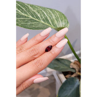 2.46 Ct. Garnet from Ceylon (Sri Lanka) Life Style