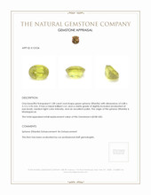 1.08 Ct. Sphene (Titanite) from Madagascar Appraisal