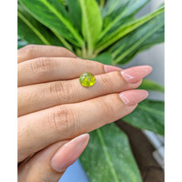 3.41 Ct. Cabochon Tourmaline from Mozambique Life Style