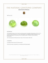 4.66 Ct. Cabochon Tourmaline from Mozambique Appraisal