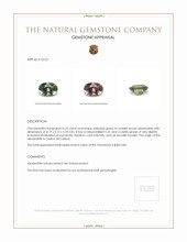 0.23 Ct. Alexandrite from Ceylon (Sri Lanka) Appraisal
