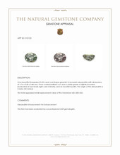 Jewelry Appraisal